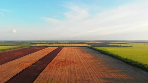 Fliegen über das grüne Feld der Naturlandschaft bei Sonnenuntergang