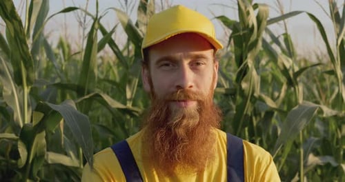 A Farmer in a Corn Field