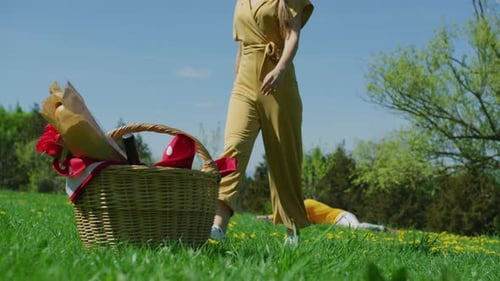 Family Picnic in a Sunny Meadow in Spring