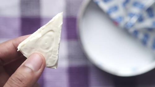 Hand Holds Cheese Triangle in a Close Up Shot