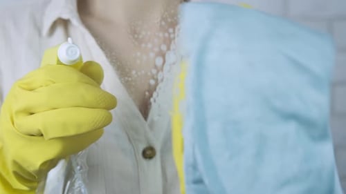 Woman Cleaning With Spray Bottle and Microfiber Cloth