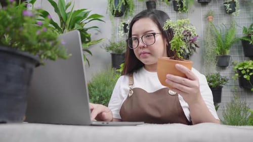Woman Using Laptop Holds Potted Plant Indoors