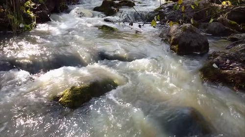 Vol d'une caméra sans pilote près d'une rivière de montagne parmi les arbres, les forêts, les avions