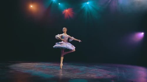 Ballet Dancer Performing Gracefully on Stage Under Lights