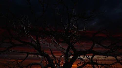 Fantastischer roter Himmel und Baumstamm