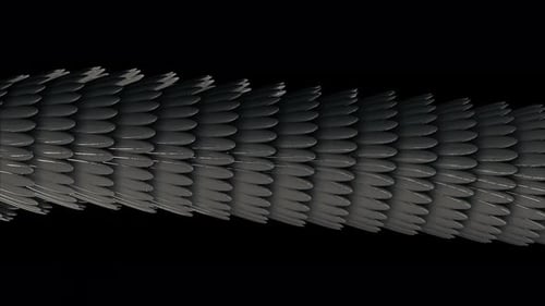 Horizontal 3D tube formed by silver feathers glowing and flowing on black background
