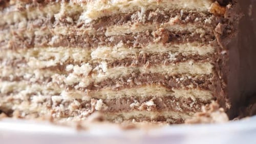 Delicious Layered Chocolate Cake Close Up