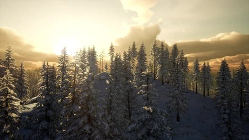 Winter Landscape with Foggy Mountain Sunset