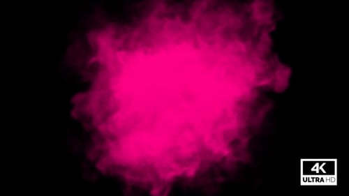Pink Fluid Smoke Ink Burst Reveal Animation