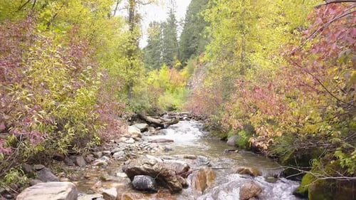 Flying low over small stream moving downstream