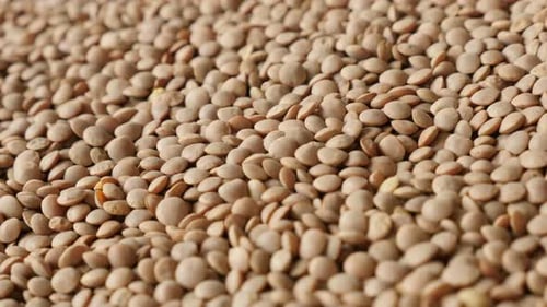 Pile of Dry Brown Lentils Close Up