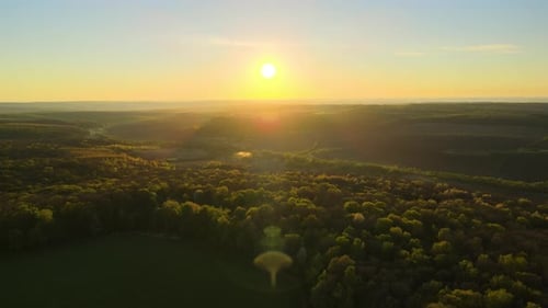 Aerial View of Woodland with Fresh Green Trees and Agricultural Arable Fields in Early Spring at