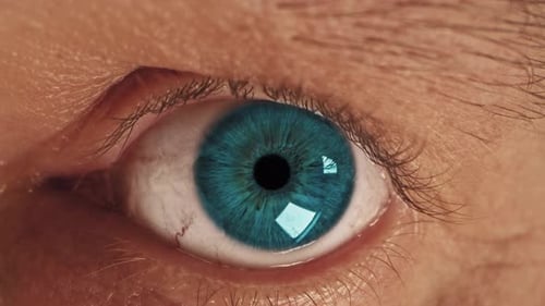 Extreme Close Up of Vivid Blue Human Eye
