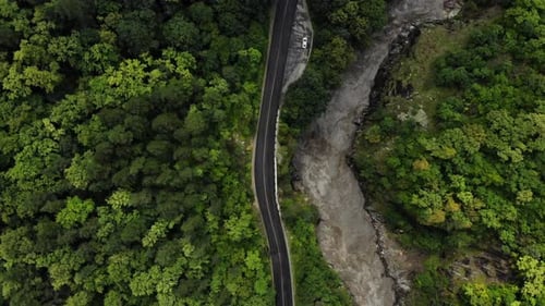 Aerial view of the caucasian mountains. Forest from the air.