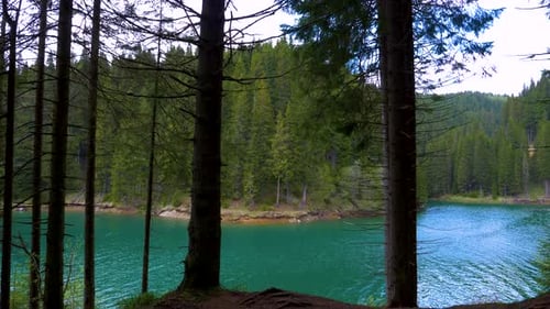Lake with turquoise water and green mountain forest. Old trees in the mountain lake.