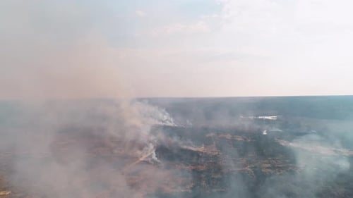 Forest and Field Fire. Dry Grass Burns, Natural Disaster. Aerial View. Large Field Fire with Many