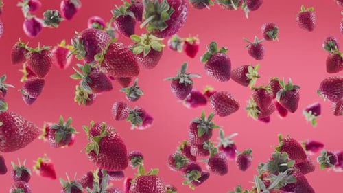Strawberry with Slices Falling on Light Fuchsia Background