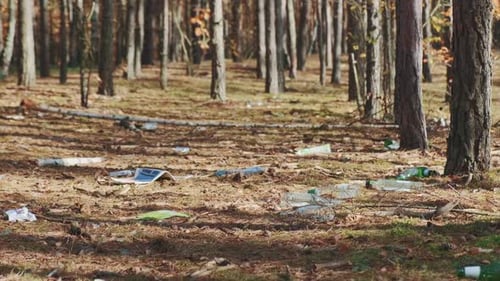Polluted Forest Floor with Scattered Plastic Waste
