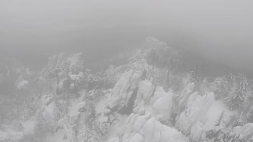 Aerial View of Snowy Foggy Winter Forest During Snowfall in Coniferous Mountain Forests