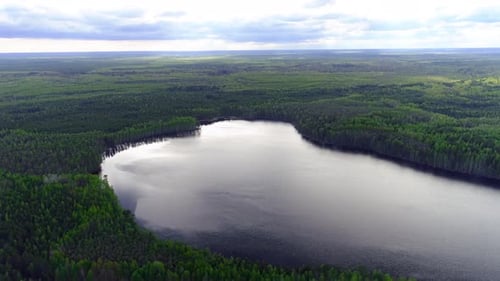 Flying above lake against the forests of spruce and pine trees. Drone collection
