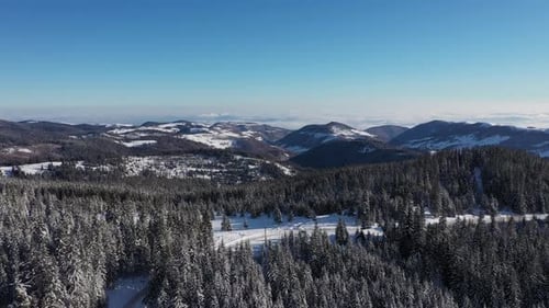 Winter Landscape with Snowy Forest