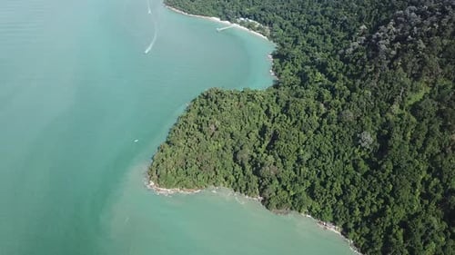 Navega en barco en la reserva forestal de Teluk Bahang