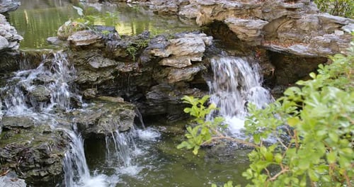 Wasserteich im Garten