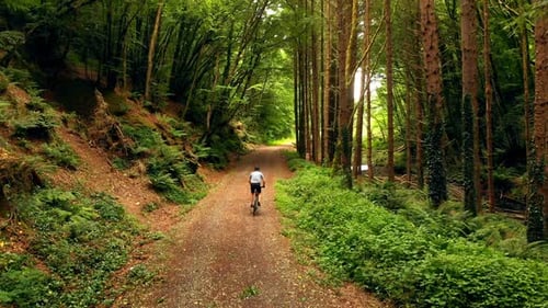 Man riding cycle in the forest 4k