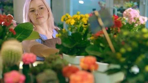 Young Woman Working Among Potted Flowers Indoors