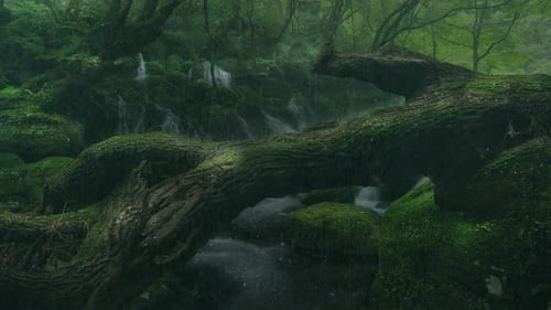 Part 3. The Overcast Afternoon Rain Fell On The Green Fores, The Rain Fell Into The Green Hills