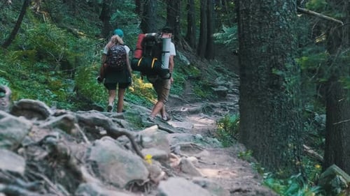 Couple of Tourists with Backpacks Climbing Up on Stone Trail in Mountain Forest