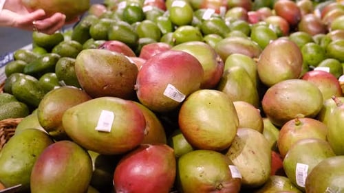 Hands of woman choosing mango at fruit market.