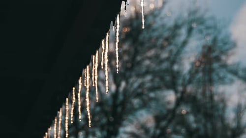 Wintereiszapfen schmelzen auf dem Dach unter der Frühlingssonne und tropfen von ihren Spitzen