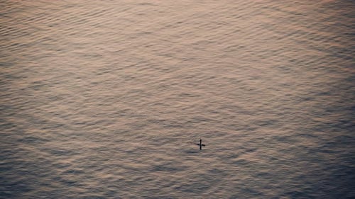 Stand Up Paddle Boarding on Quiet Sea.