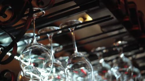 Bartender hangs glasses. Wine glasses hanging on a rack in a bar.