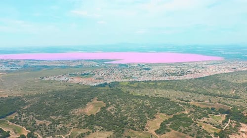 Panoramic Aerial View Video of Las Salinas, Bright Color Famous Place Pink Lake. Coastline of