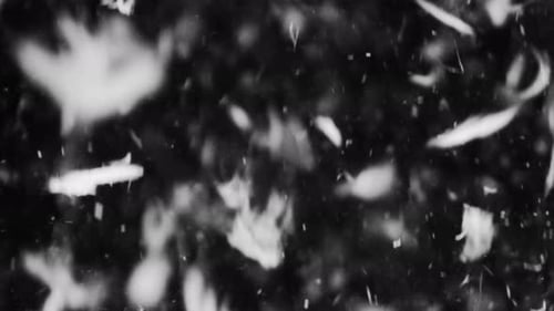 Abstract White Particles Floating on Black Background