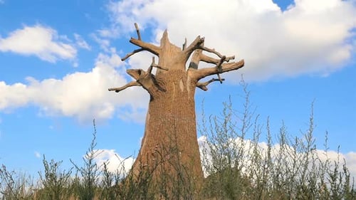 Alter trockener Baum auf blauem Hintergrund. Zeitlupe
