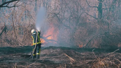 Firefighter in Equipment Extinguish Forest Fire with Fire Hose. Wood, Spring Day