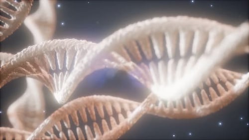 Doppelhelikale Struktur der DNA-Strang-Nahaufnahme Animation
