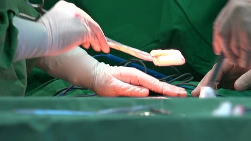 Surgical Suture Or Stitches