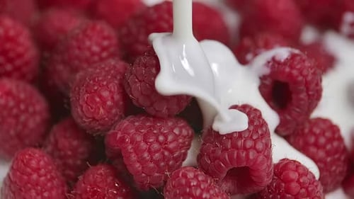 Fresh Raspberries Drenched in Creamy White Liquid