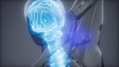 Backache in Back Bones