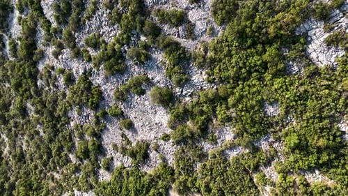 Aerial View of Rocky Cliffside with Dense Green Vegetation