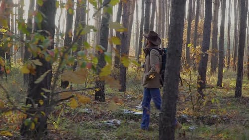 Backpacker with Camera Walks Along a Trail in the Forest