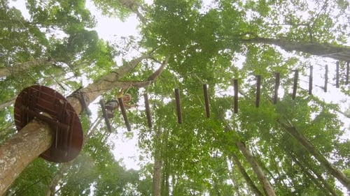 Action Camera Shot of a Little Boy in a Safety Harness Climbs on a Route in Treetops in a Forest