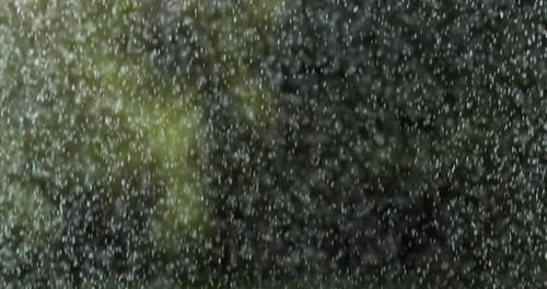 Rain falling, Normandy, Slow motion 4K