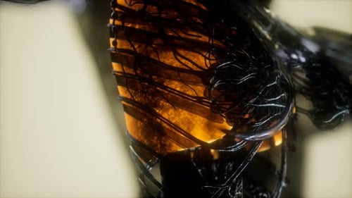 Glowing Human Ribcage and Veins Medical Scan