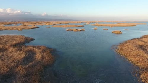 Wetland Aerial View on a Sunny Day