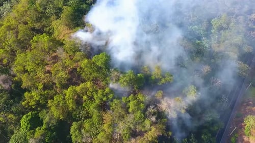 Aerial view of a smoking forest area, burnt woods, aftermath of a wildfire - reverse, drone shot